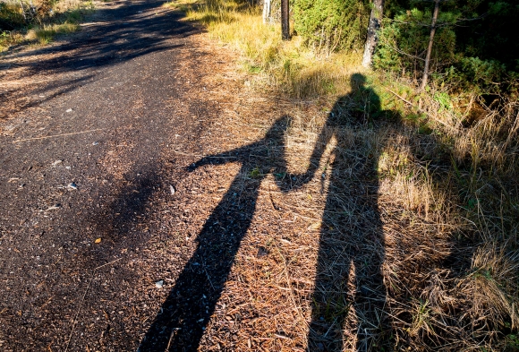 Nær 60.000 personer med rusproblemer, psykiske problemer eller begge deler, og som er brukere av NAV- eller kommunale helse- og omsorgstjenester, har blitt kartlagt i Brukerplan-kartleggingen for 2018. 