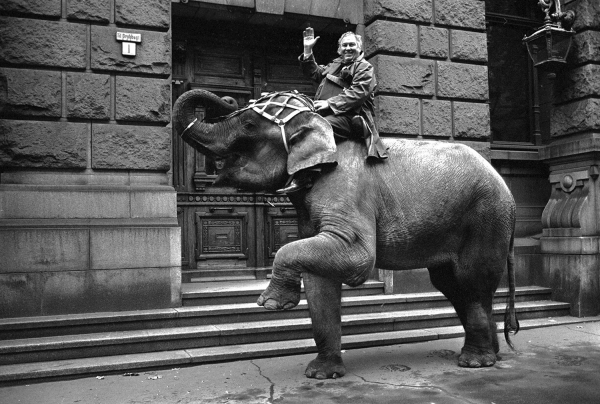 Sirkusdirektør Arne Arnardo kom ridende til Oslo Tinghus på en elefant. Han ønsket å føre elefanten som vitne i en erstatningssak mot en tidligere ansatt, men elefanten kom ikke inn i Tinghuset. Her Arnardo på elefanten utenfor Tinghuset. 