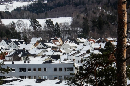 Omsetning av eiendommer i Ringerike kommune i uke 5