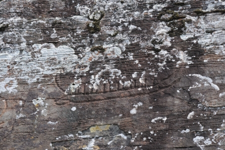 Hole har flest helleristningsfelt i Buskerud