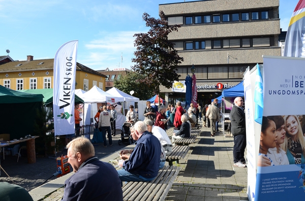 Ringeriksdagen 2015 – større enn noen gang