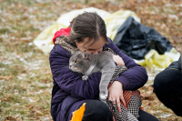 Ei jente på flyktningmottak i Polen tok med katten Bantik da familien flyktet fra Ukraina. De fleste kjæledyrene som kommer til Norge er katter eller hunder. 