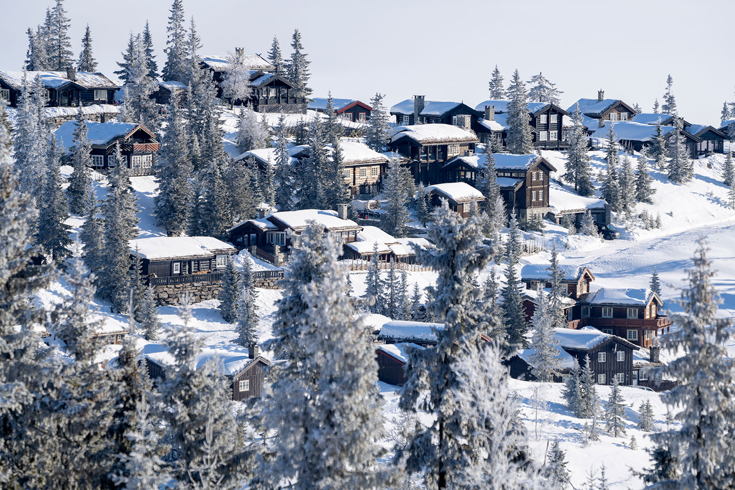 Rekordmange nordmenn vil bygge hytte. Det bekymrer hytteeiernes organisasjoner.