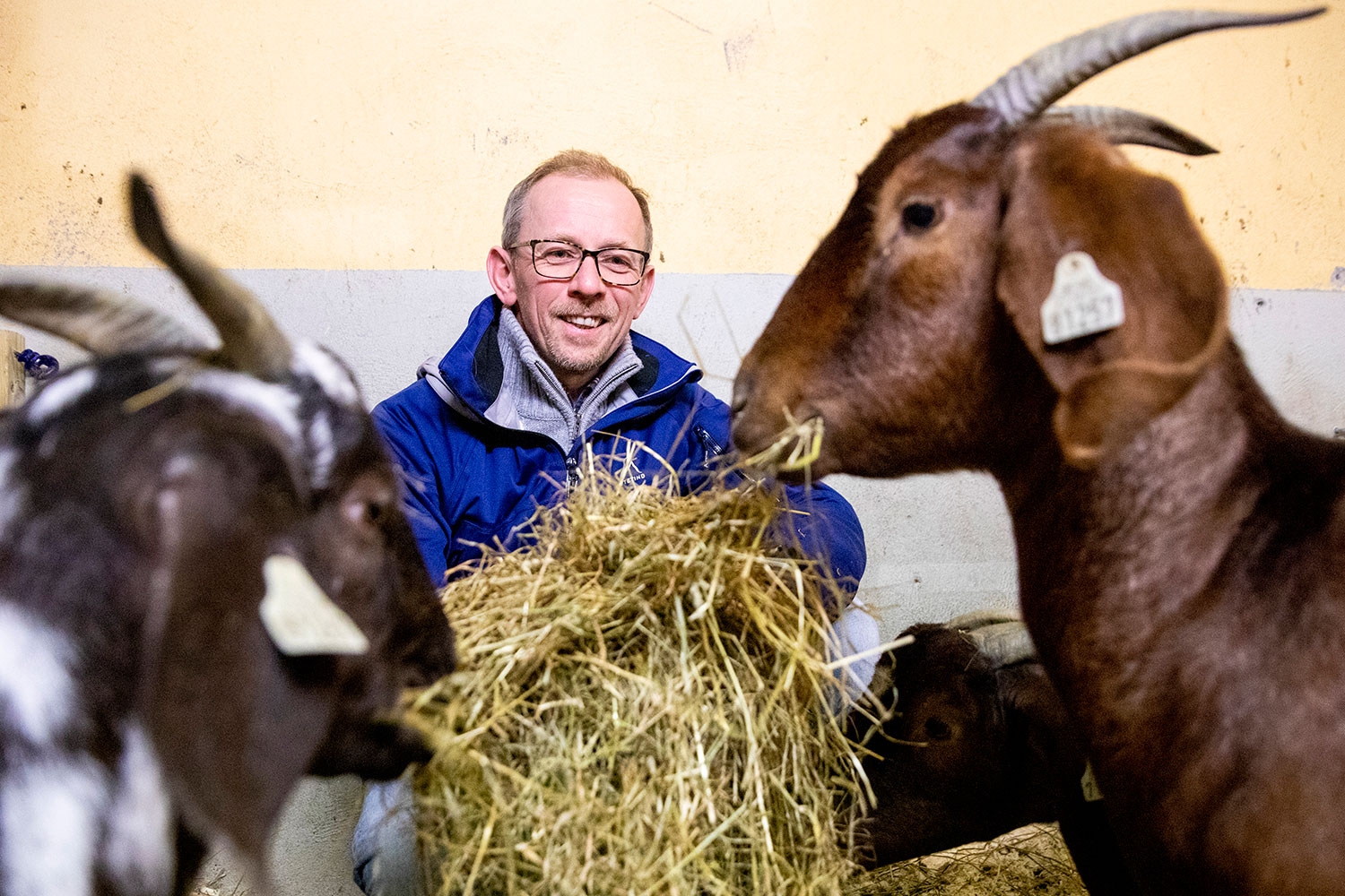 UAVHENGIG: Bonde Kjell Myhrer har hatt boergeit på Glittre gård i Hakadal siden 2002, og selger nå alle produktene sine via REKO-ringen i Lillestrøm, i tillegg til eget gårdsutsalg.